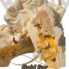 Gold Bar  Choccy Whirl